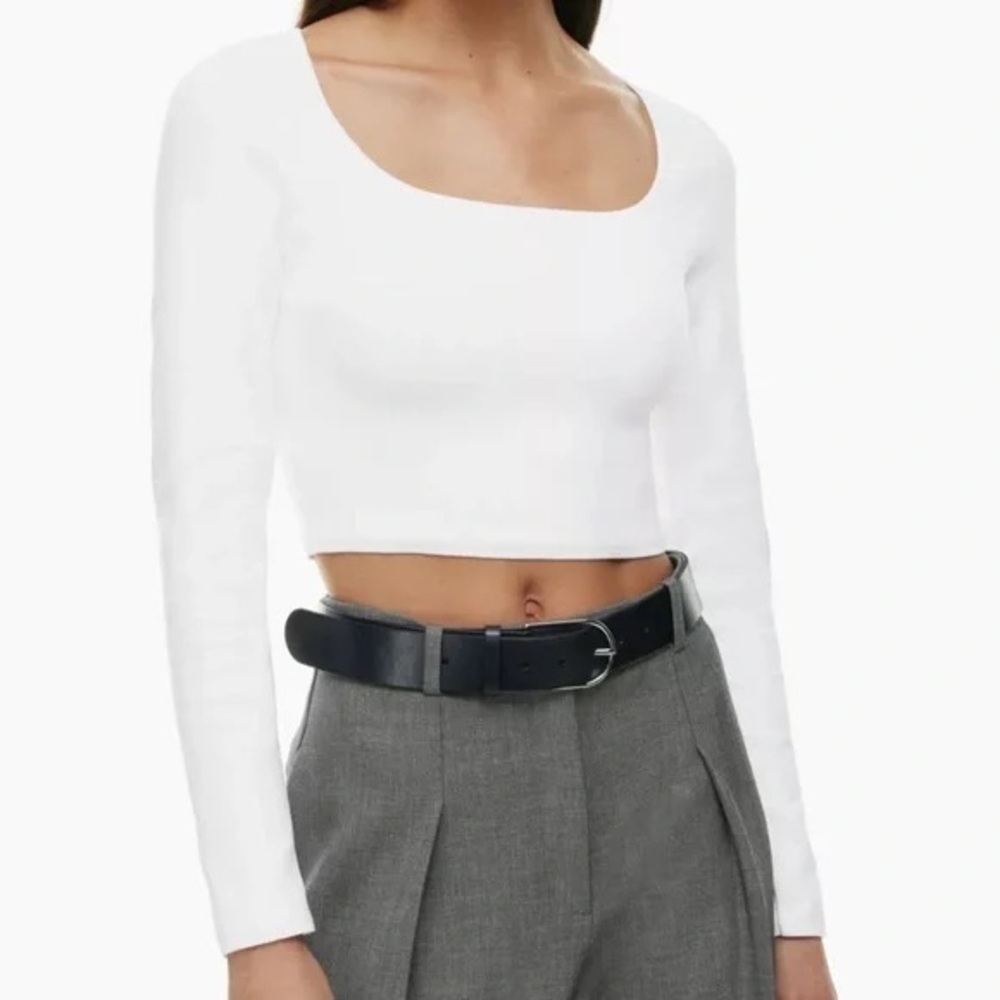 Aritzia Babaton Sweetheart Crop Longsleeve